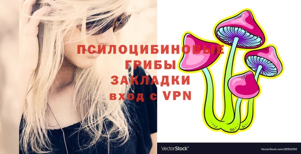 стафф Алексеевка