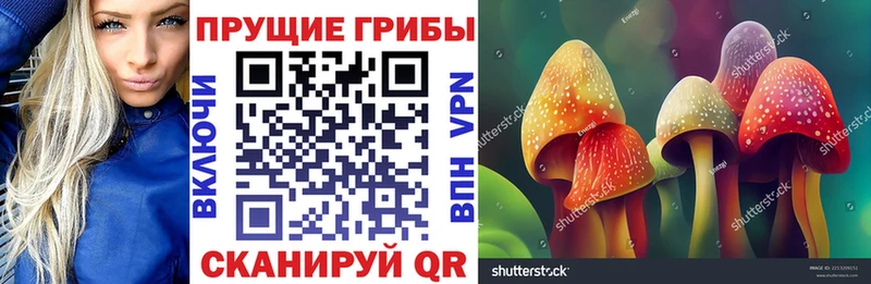 Псилоцибиновые грибы ЛСД  mega   Кизилюрт  где купить наркоту 